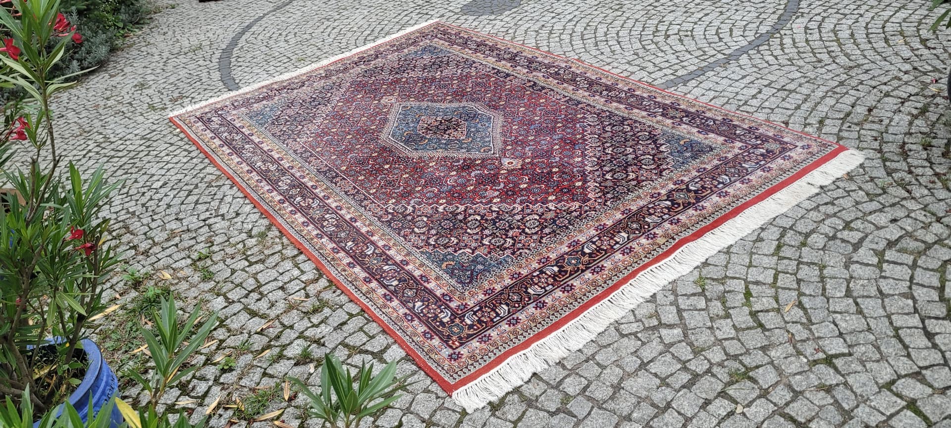 Rug Bidjar, 320x200 cm, red blue wool, India - 389866
