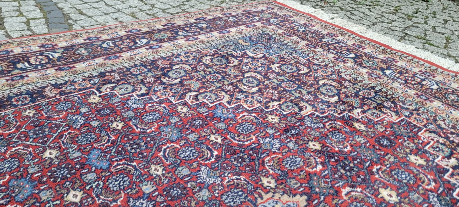 Rug Bidjar, 320x200 cm, red blue wool, India - 389863