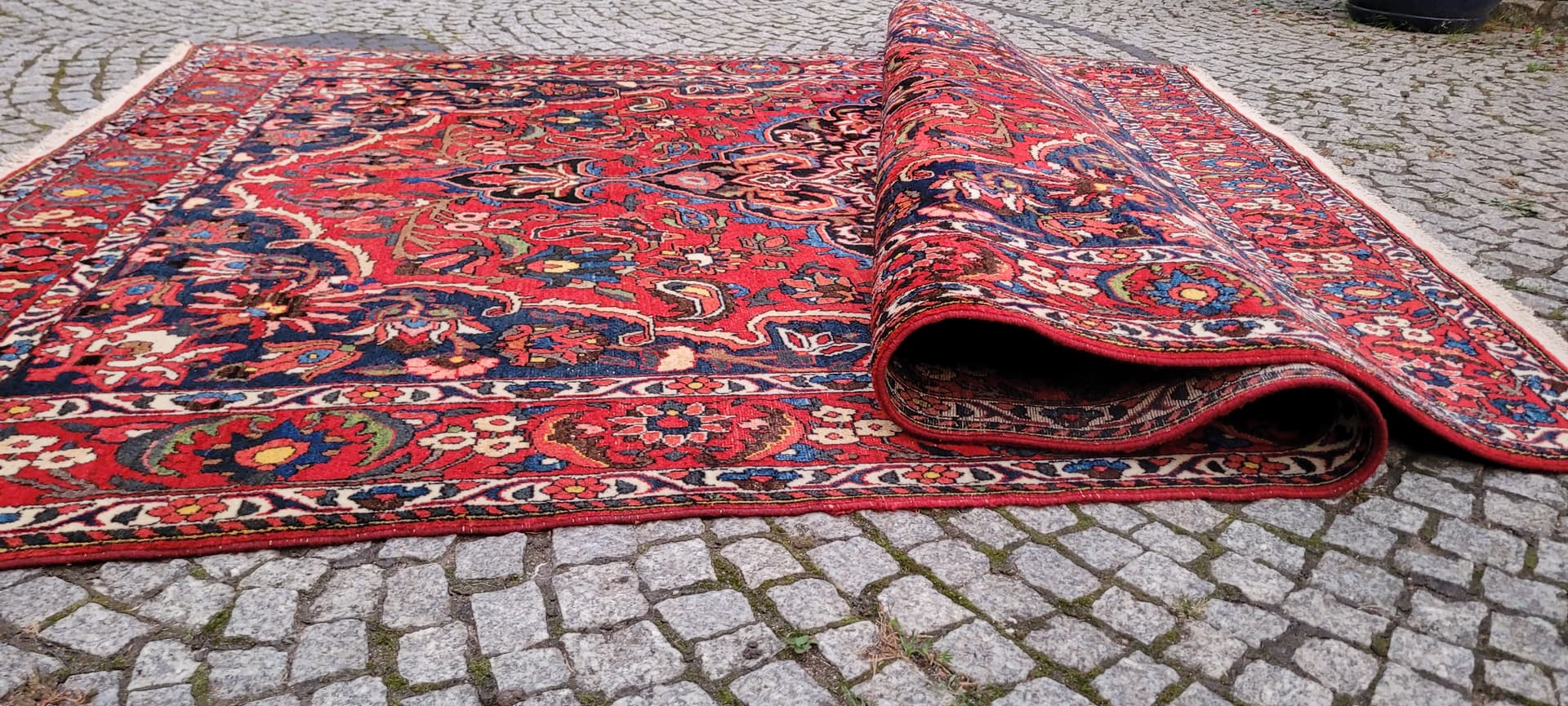 Persian rug Bakhtiari 215x315cm, red blue white green yellow, wool cotton, Iran, early 20th c. - 389886