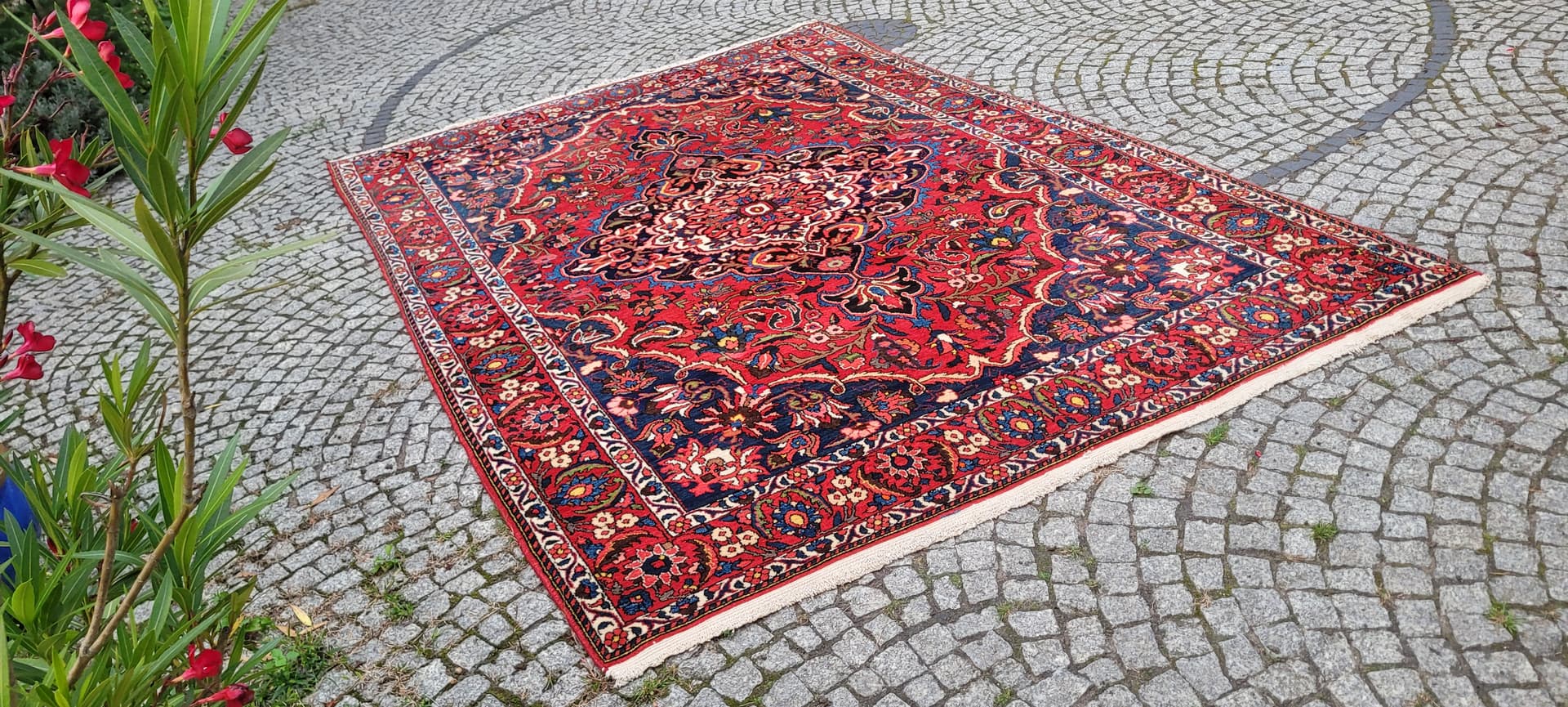 Persian rug Bakhtiari 215x315cm, red blue white green yellow, wool cotton, Iran, early 20th c. - 389894