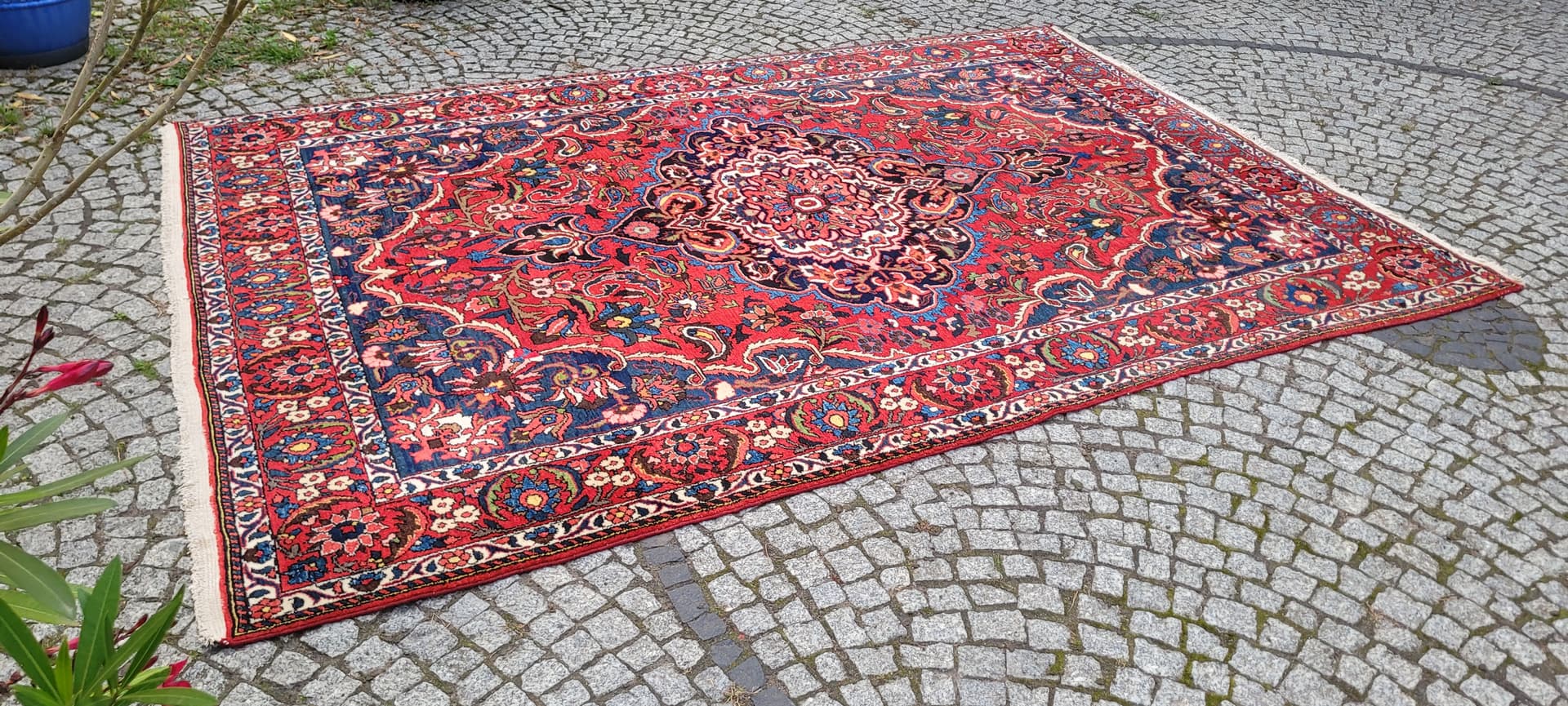 Persian rug Bakhtiari 215x315cm, red blue white green yellow, wool cotton, Iran, early 20th c. - 389891