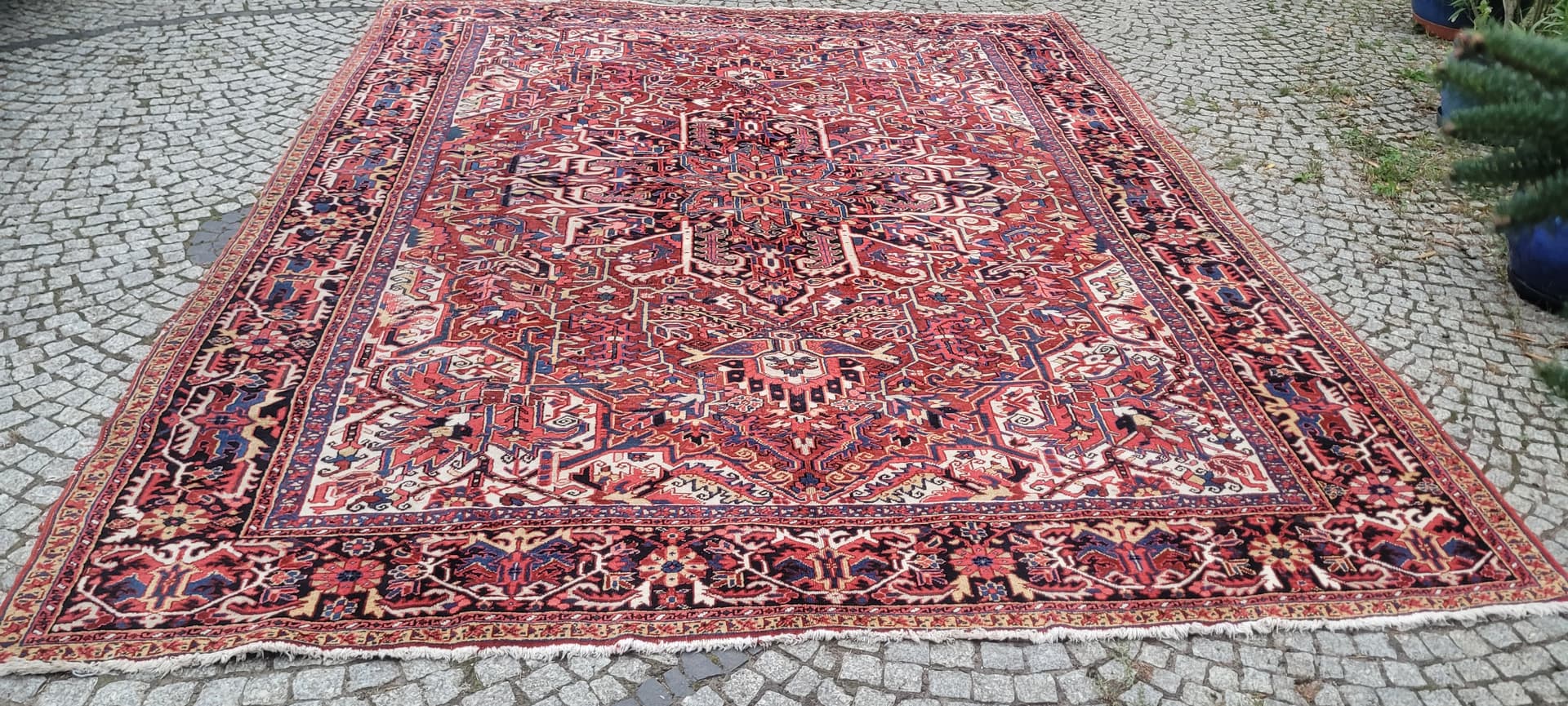 Rug Heriz, 380x300 cm, red blue, wool cotton, Iran, early 20th c. - 389960