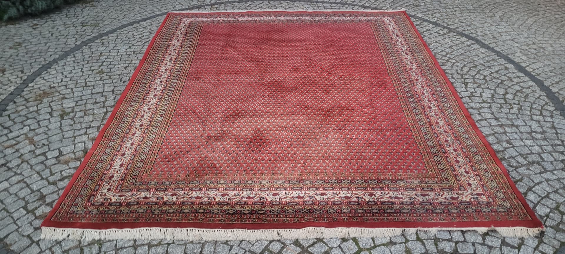 Rug Indo Sarough Mir 250x305 cm, red, wool, India - 389990