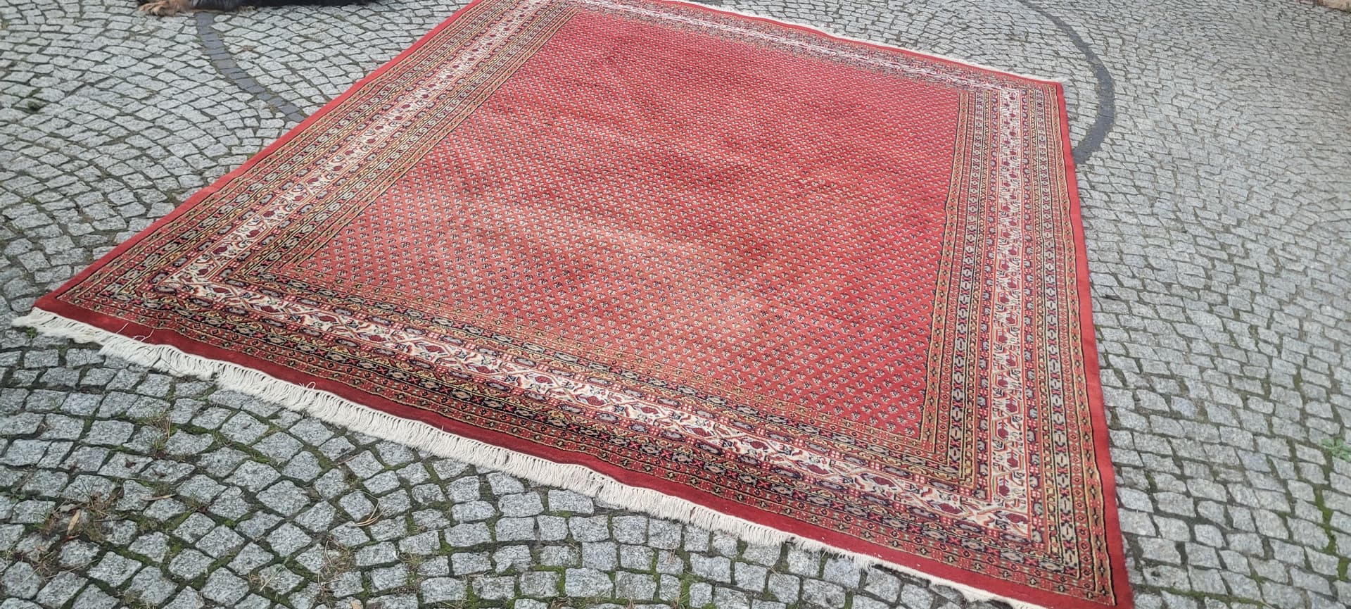 Rug Indo Sarough Mir 250x305 cm, red, wool, India - 389995