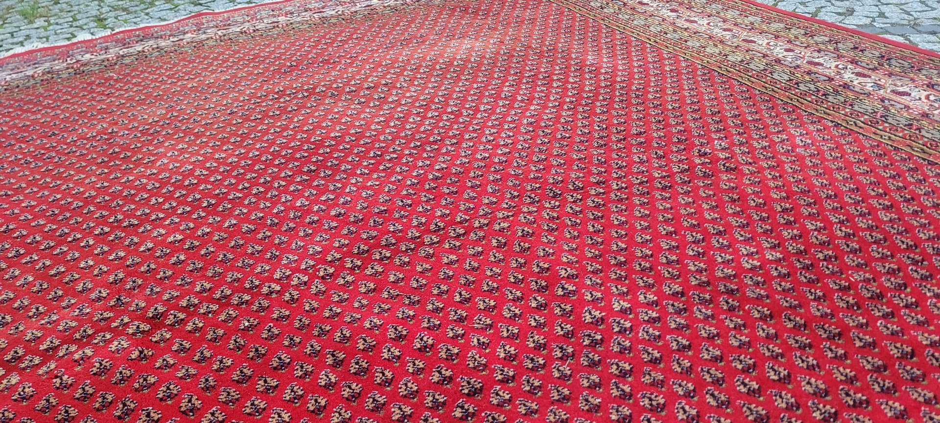 Rug Indo Sarough Mir 250x305 cm, red, wool, India - 389998