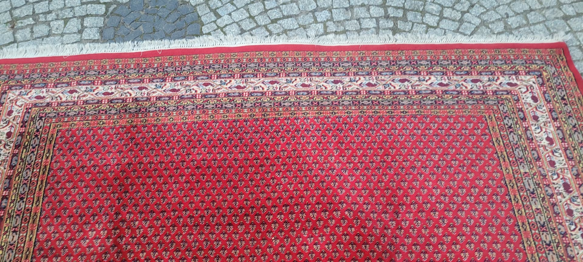 Rug Indo Sarough Mir 250x305 cm, red, wool, India - 389989