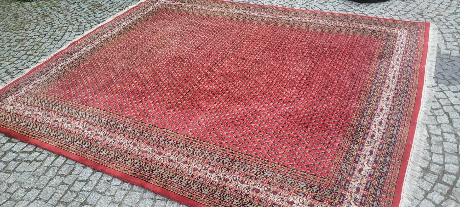 Rug Indo Sarough Mir 250x305 cm, red, wool, India - 389997