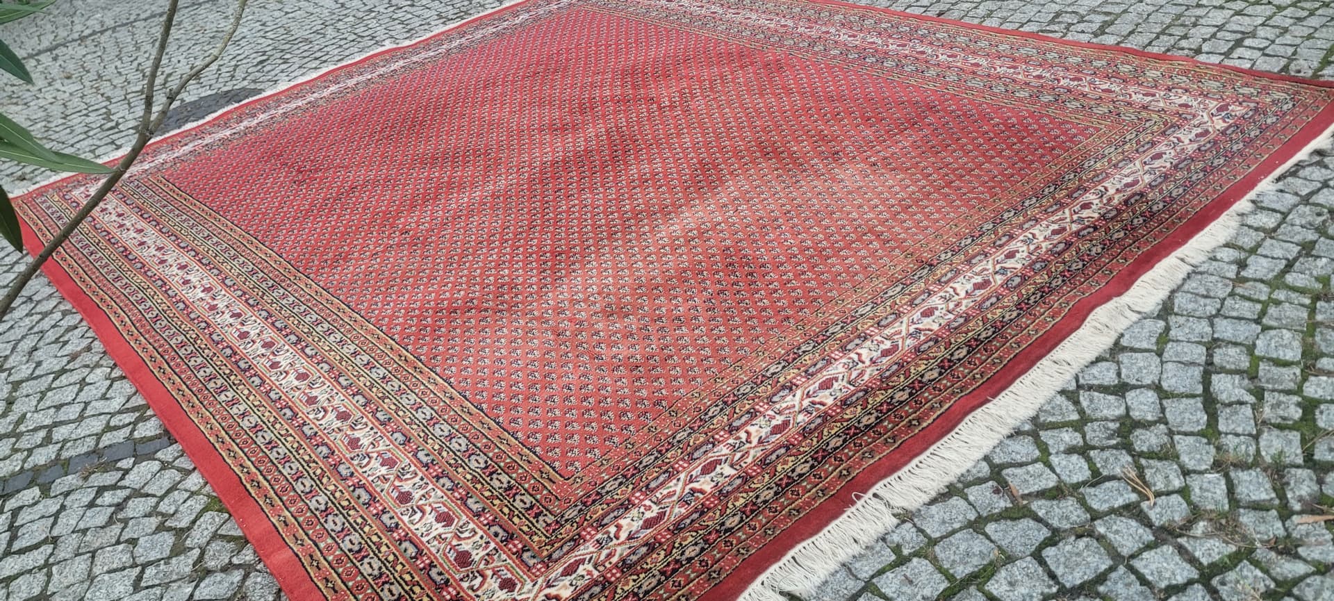 Rug Indo Sarough Mir 250x305 cm, red, wool, India - 389996