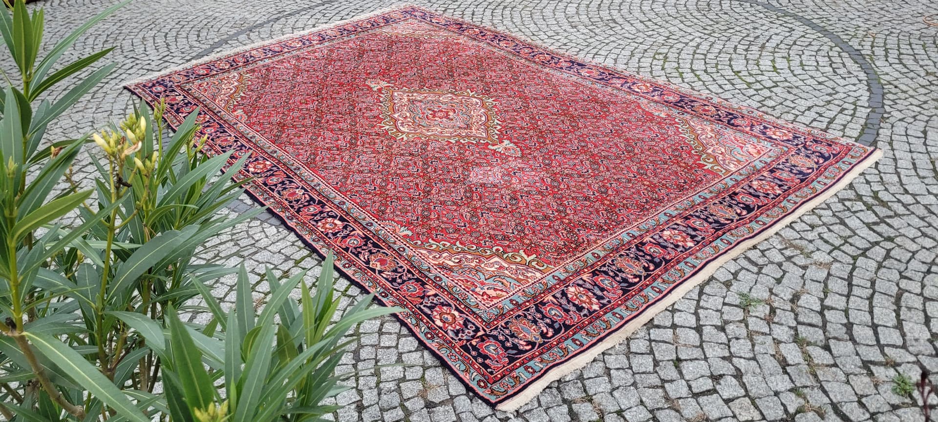 Rug Bidjar 360x225 cm, red, wool, Iran - 390058