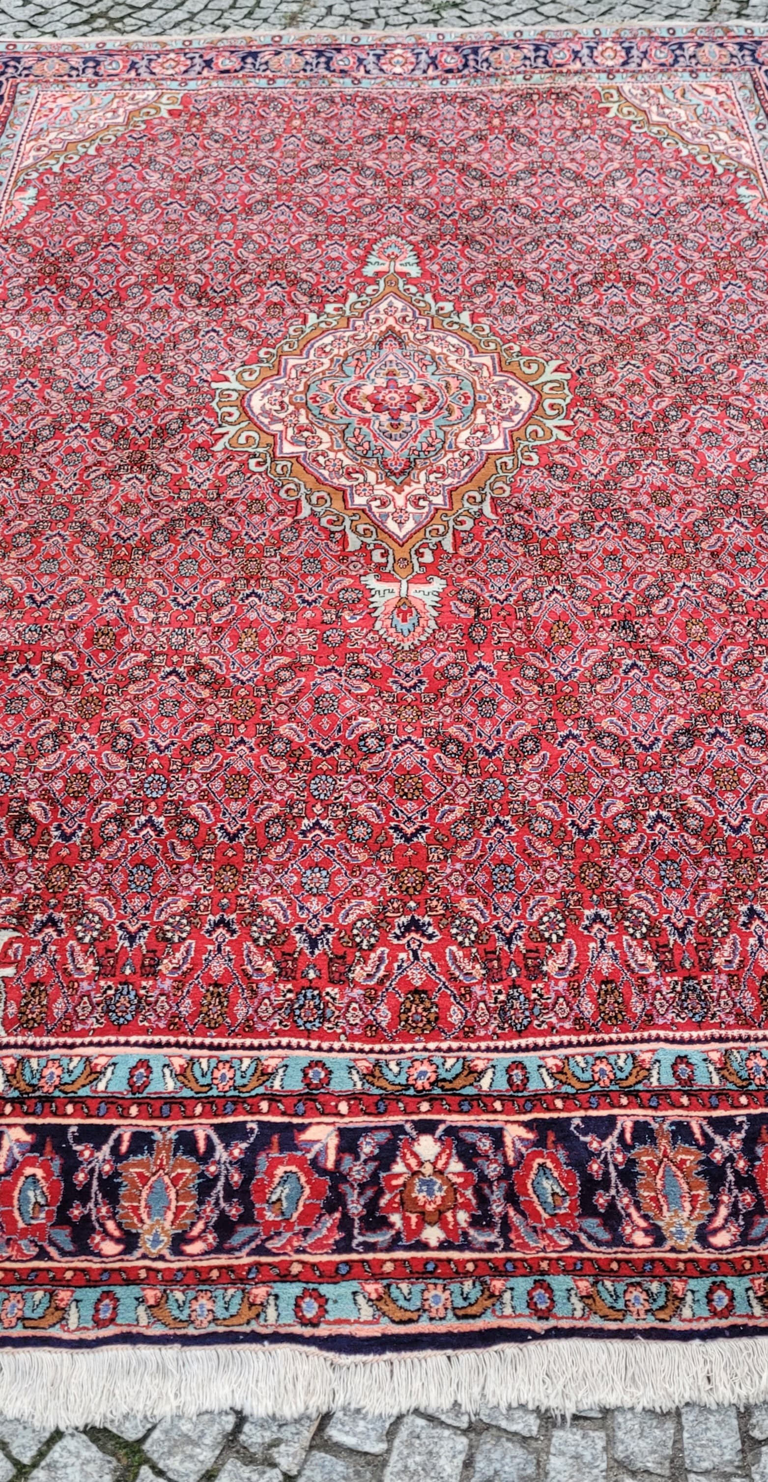 Rug Bidjar 360x225 cm, red, wool, Iran - 390056