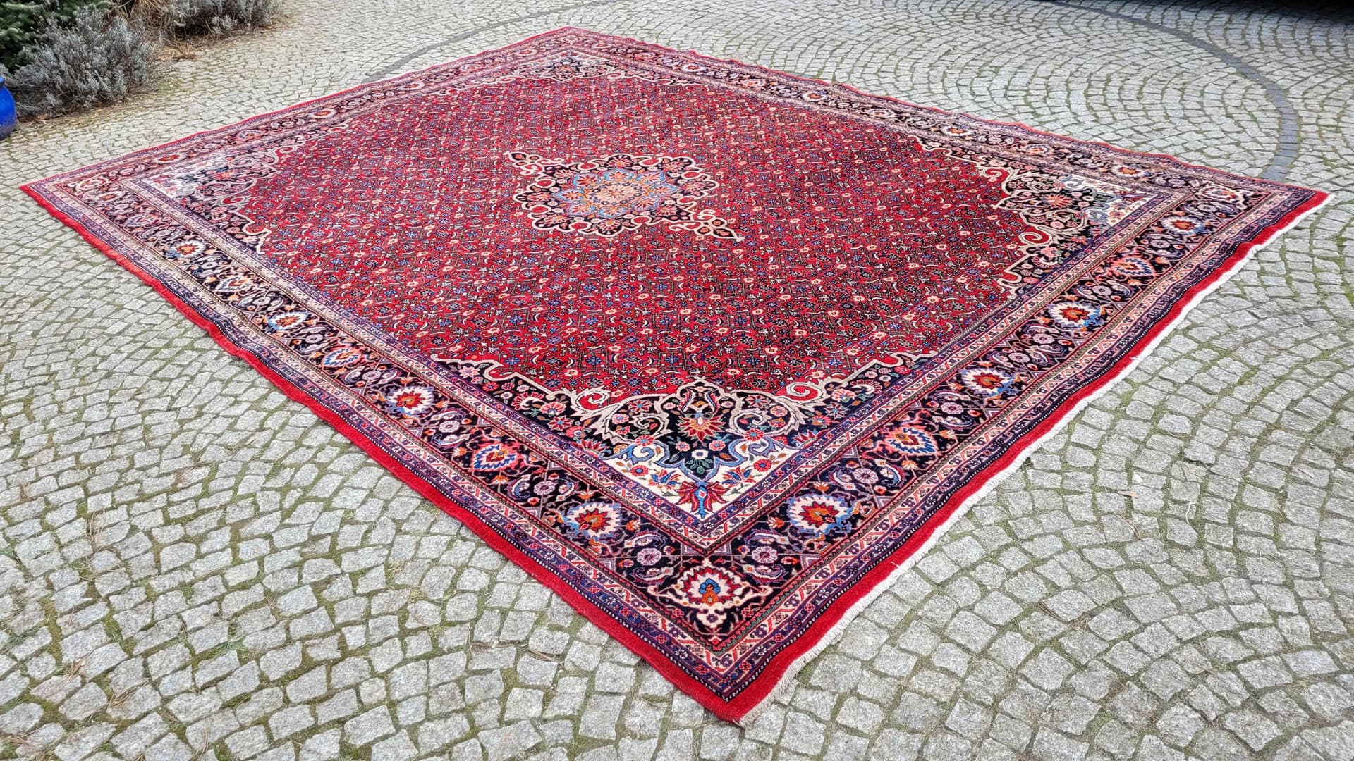 Rug Bidjar Takab 285x385 cm, red, wool, Iran, 1990s. - 393451