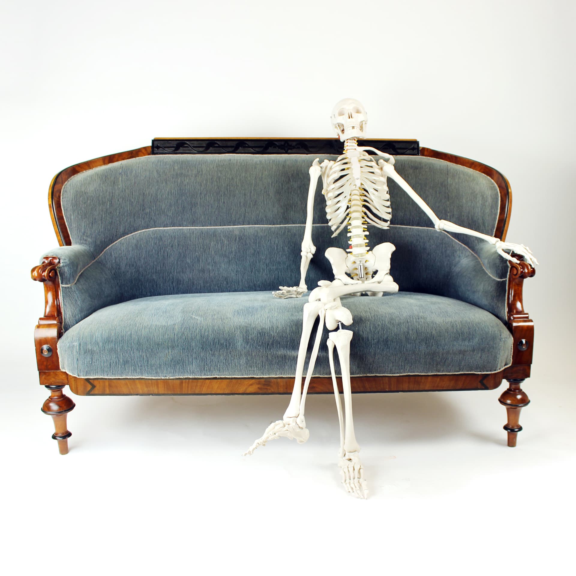 Sofa Biedermeier, velvet niebiesko-szary, orzech włoski, Austria, XIX w. - 394403