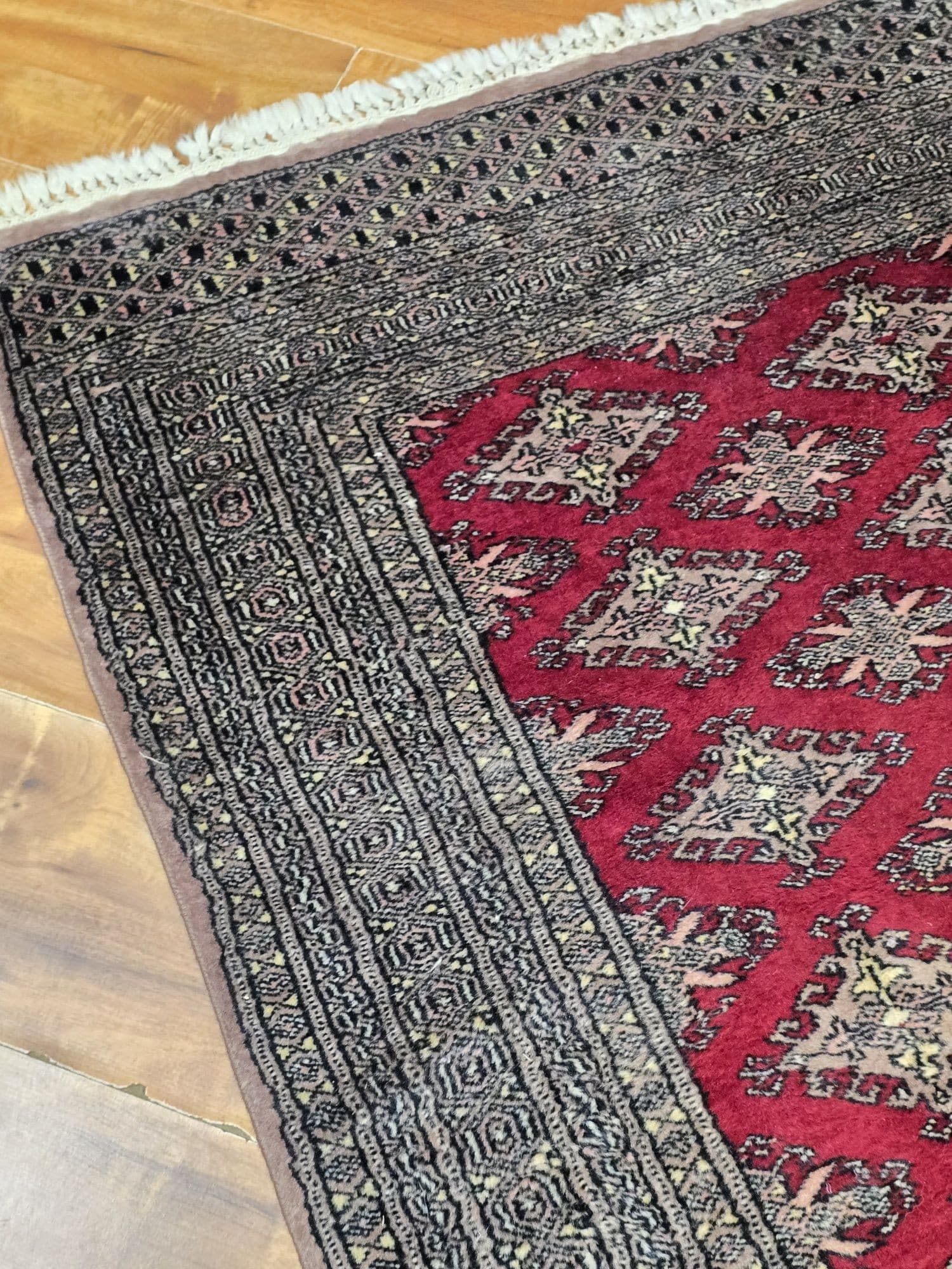 Rug Buchara 90x160 cm, red, wool, Pakistan - 396016