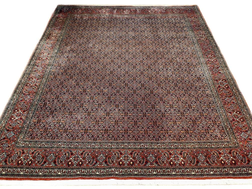Dywan Bidjar Takab 250x350 cm, czerwony, wełna, Iran