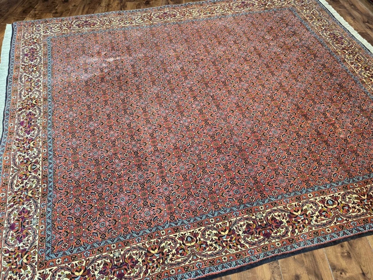 Dywan Bidjar Takab 250x200 cm, czerwony, wełna, Iran - 396128