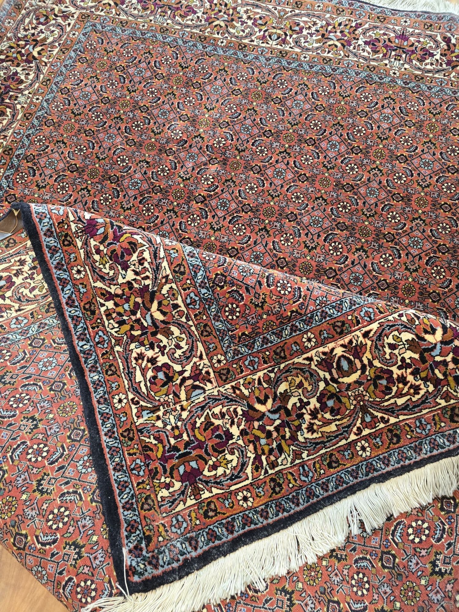 Dywan Bidjar Takab 250x200 cm, czerwony, wełna, Iran - 396131
