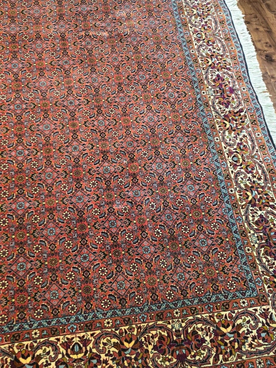 Dywan Bidjar Takab 250x200 cm, czerwony, wełna, Iran - 396127