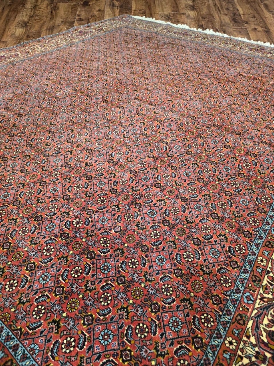 Dywan Bidjar Takab 250x200 cm, czerwony, wełna, Iran - 396126
