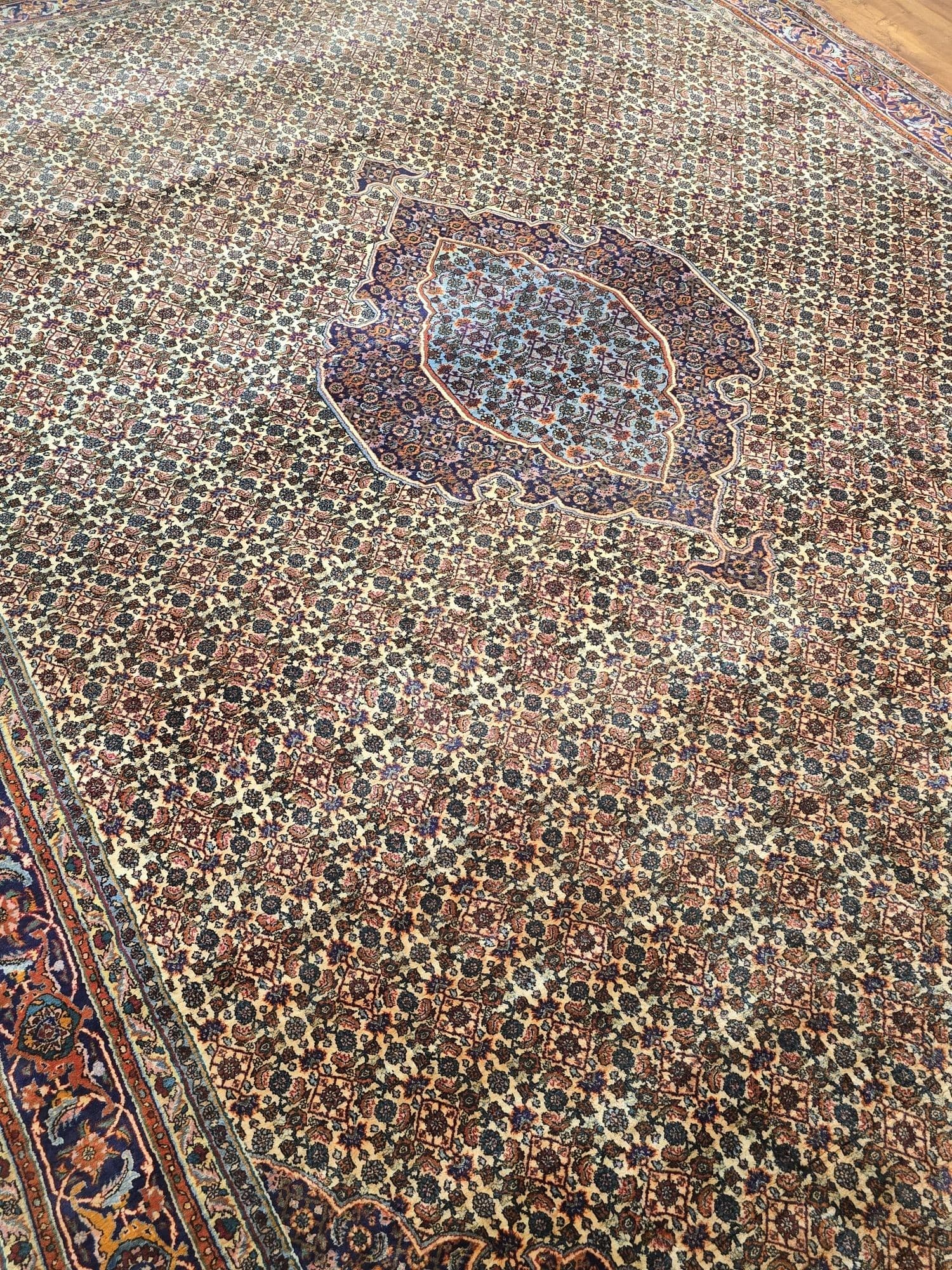 Dywan Bidjar Kurdi 250x360 cm, beżowy wełna, Iran, lata 60. - 396895
