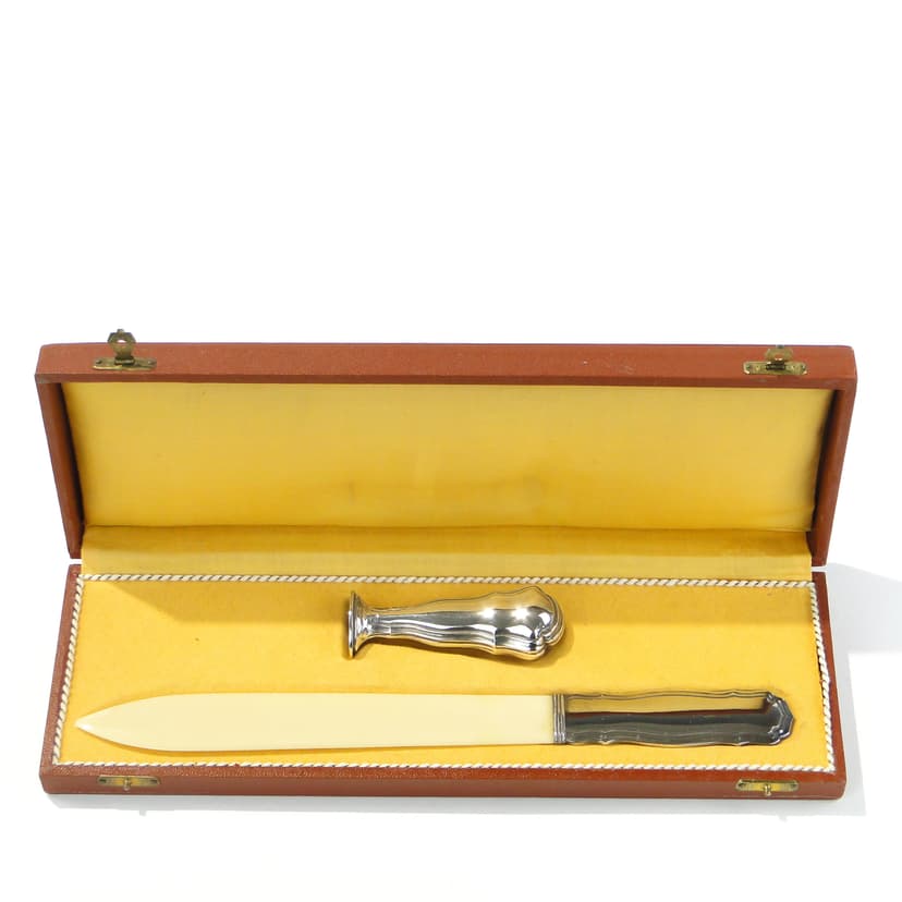 Correspondence set, casket, cream celluloid, silver metal, gold brass, yellow silk, France, early 20th c.