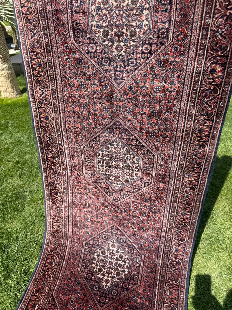 Runner Bidjar 230x77 cm, red wool, Iran - 399236