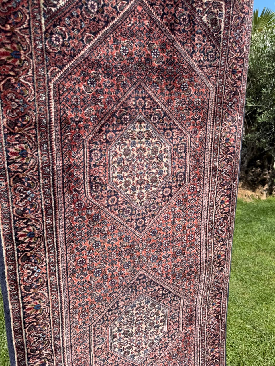 Runner Bidjar 230x77 cm, red wool, Iran - 399234