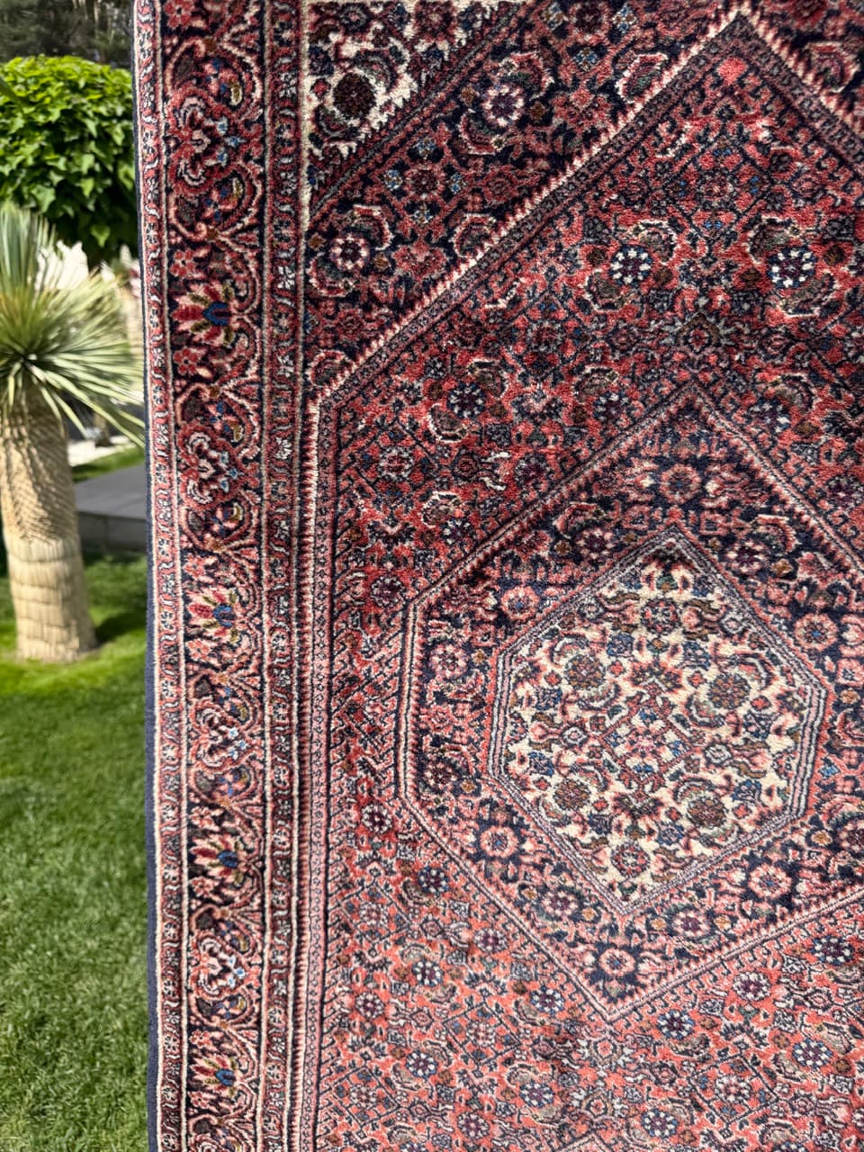 Runner Bidjar 230x77 cm, red wool, Iran - 399229