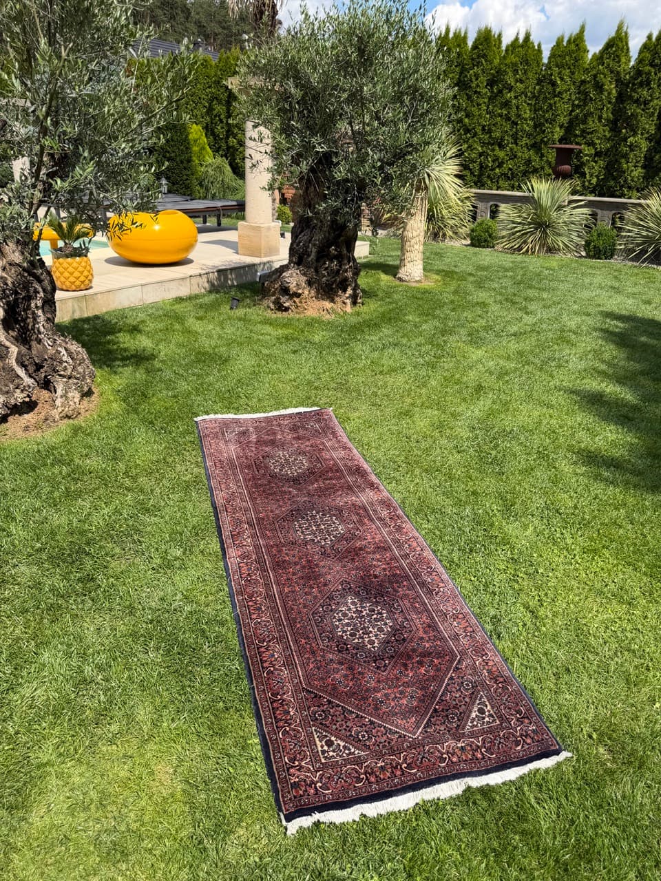 Runner Bidjar 230x77 cm, red wool, Iran - 399241