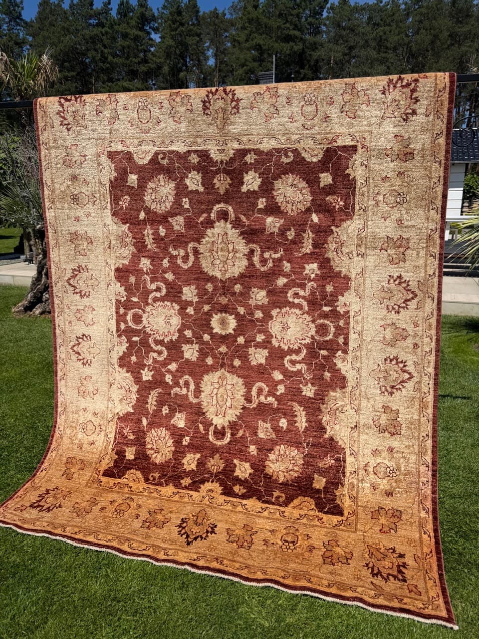 Rug Ziegler 250x200 cm, red beige gold, Kashmiri wool, Pakistan - 399277