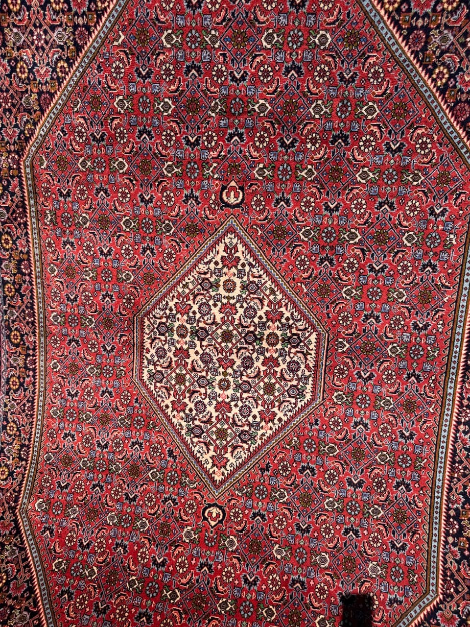 Rug Bidjar, 300x200 cm, wool red blue white green gold brown, Iran - 399311