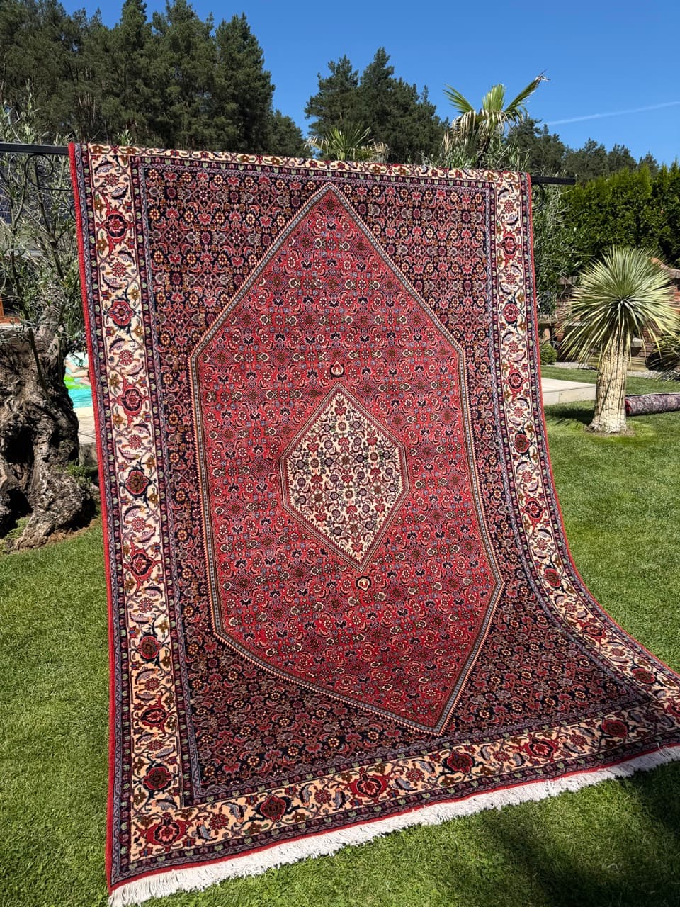 Rug Bidjar, 300x200 cm, wool red blue white green gold brown, Iran - 399309