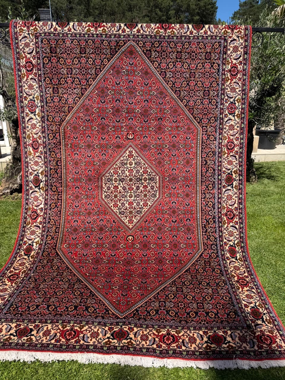 Rug Bidjar, 300x200 cm, wool red blue white green gold brown, Iran - 399312