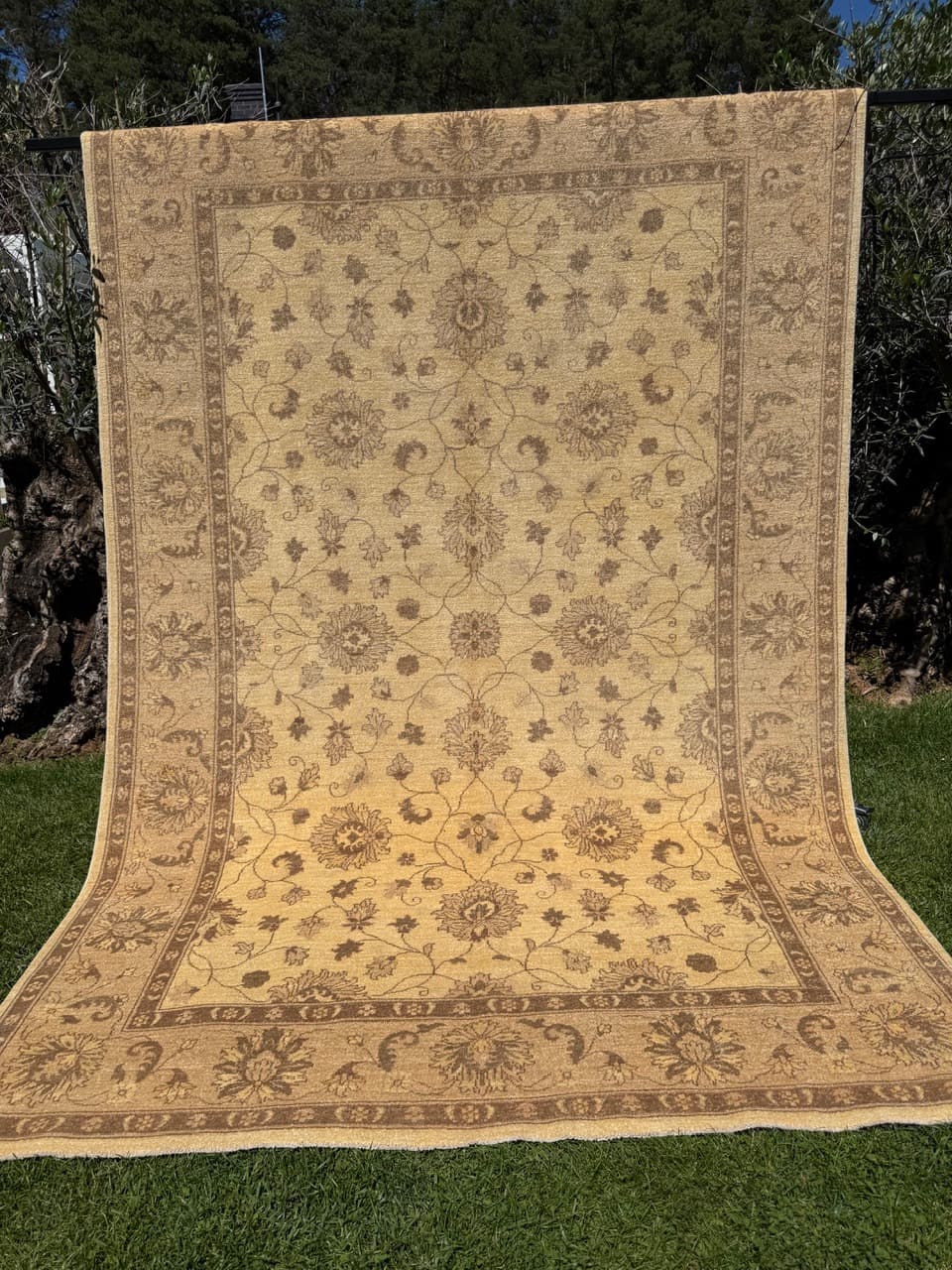 Rug Ziegler, 300x200 cm, beige gold grey cashmere wool, Pakistan - 400055