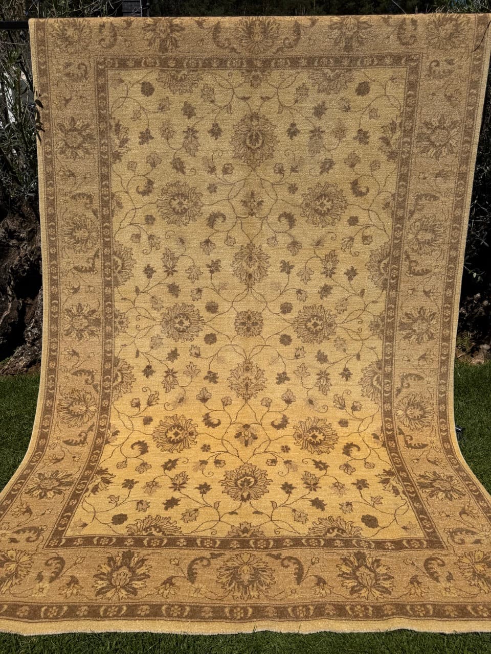 Rug Ziegler, 300x200 cm, beige gold grey cashmere wool, Pakistan - 400060