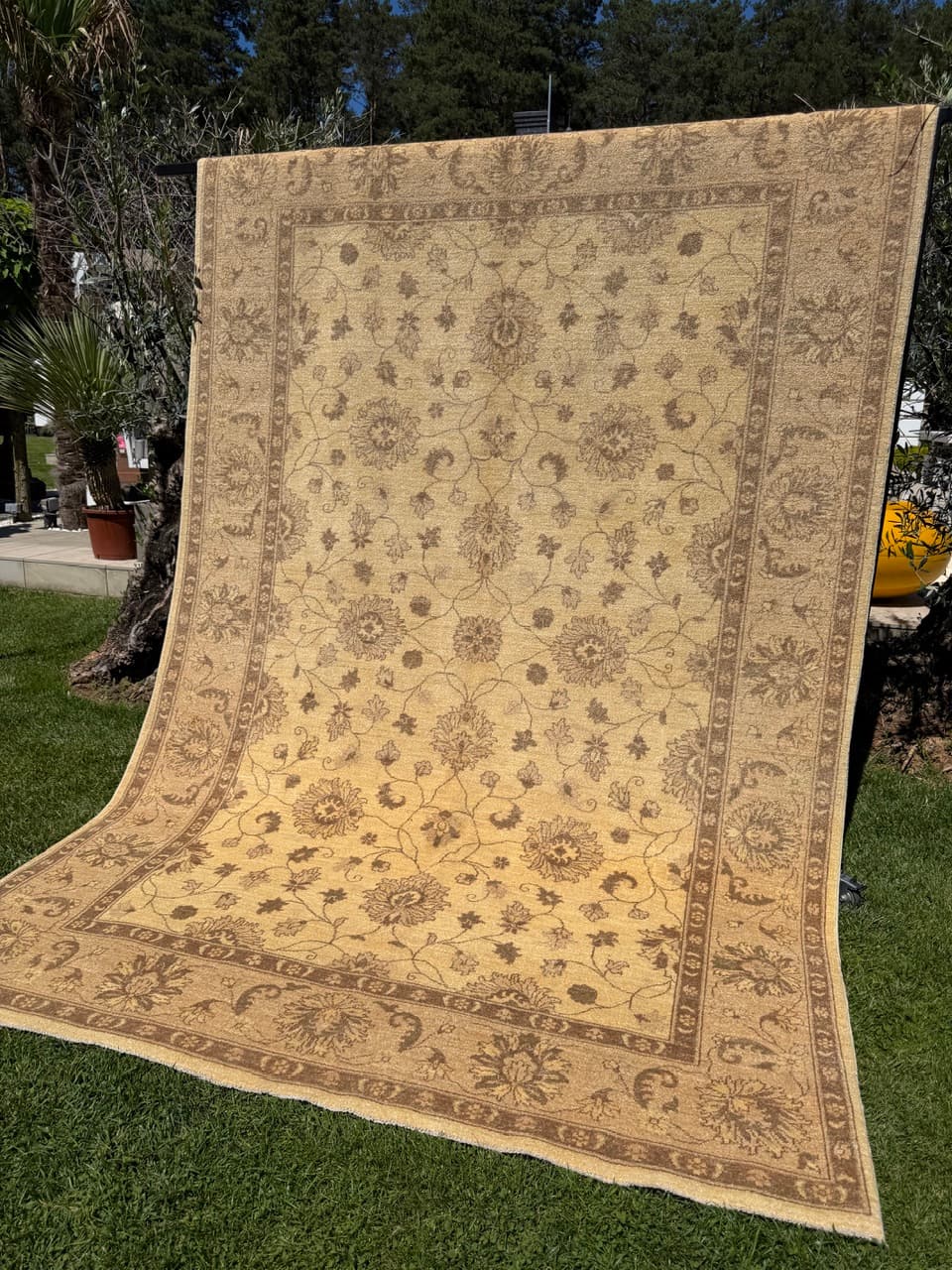 Rug Ziegler, 300x200 cm, beige gold grey cashmere wool, Pakistan - 400057