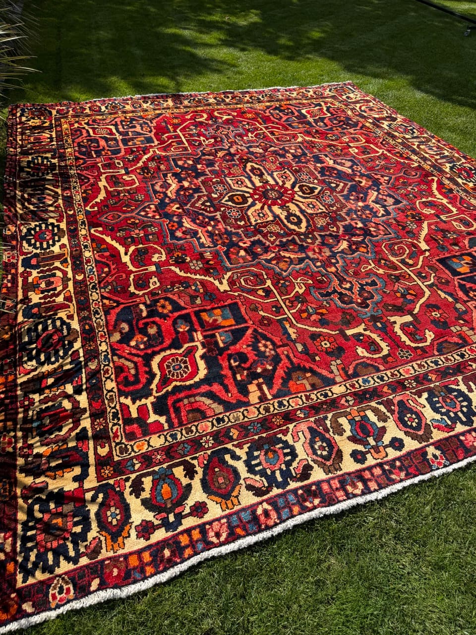 Dywan Bahtiari 360x300 cm, czerwony, wełna, Iran - 400123
