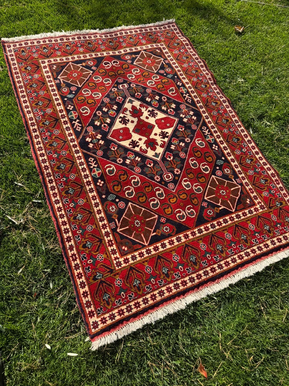 Dywan Ziegler Kazak, 200x130 cm, czerwony niebieski biały zielony złoty czarny, wełna, Pakistan - 400677
