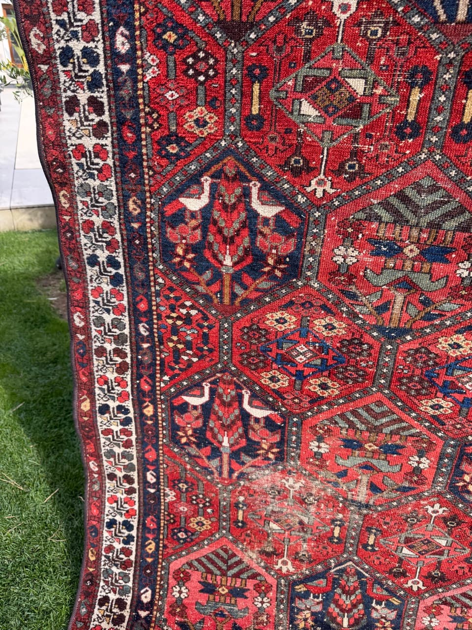 Rug Hamadan Bahtiari 200x131cm, red blue white, wool, Iran, 1930s. - 400928