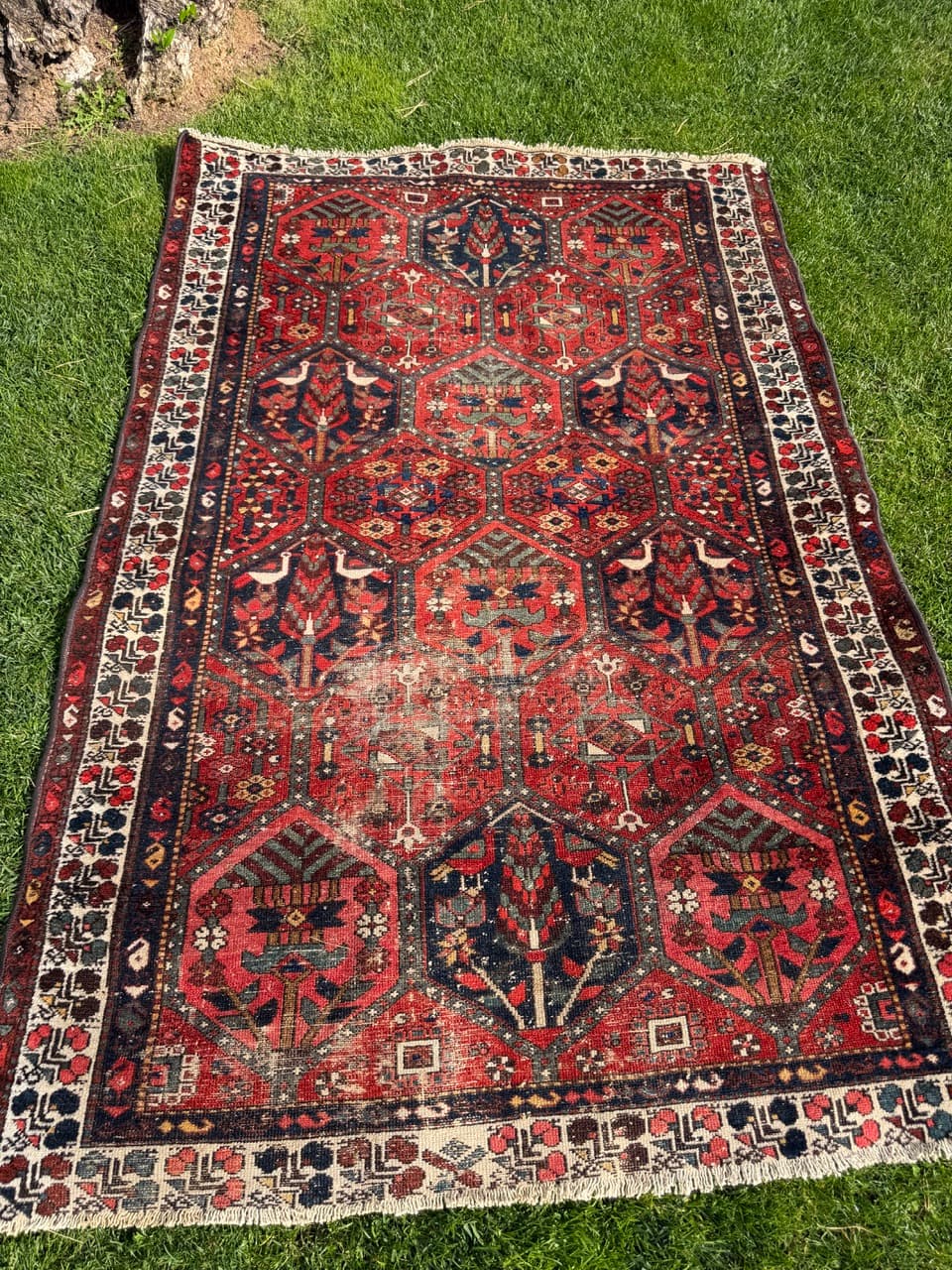 Rug Hamadan Bahtiari 200x131cm, red blue white, wool, Iran, 1930s. - 400915