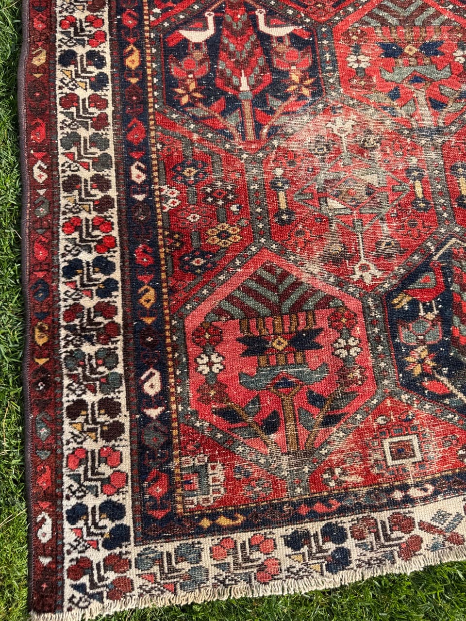 Rug Hamadan Bahtiari 200x131cm, red blue white, wool, Iran, 1930s. - 400923