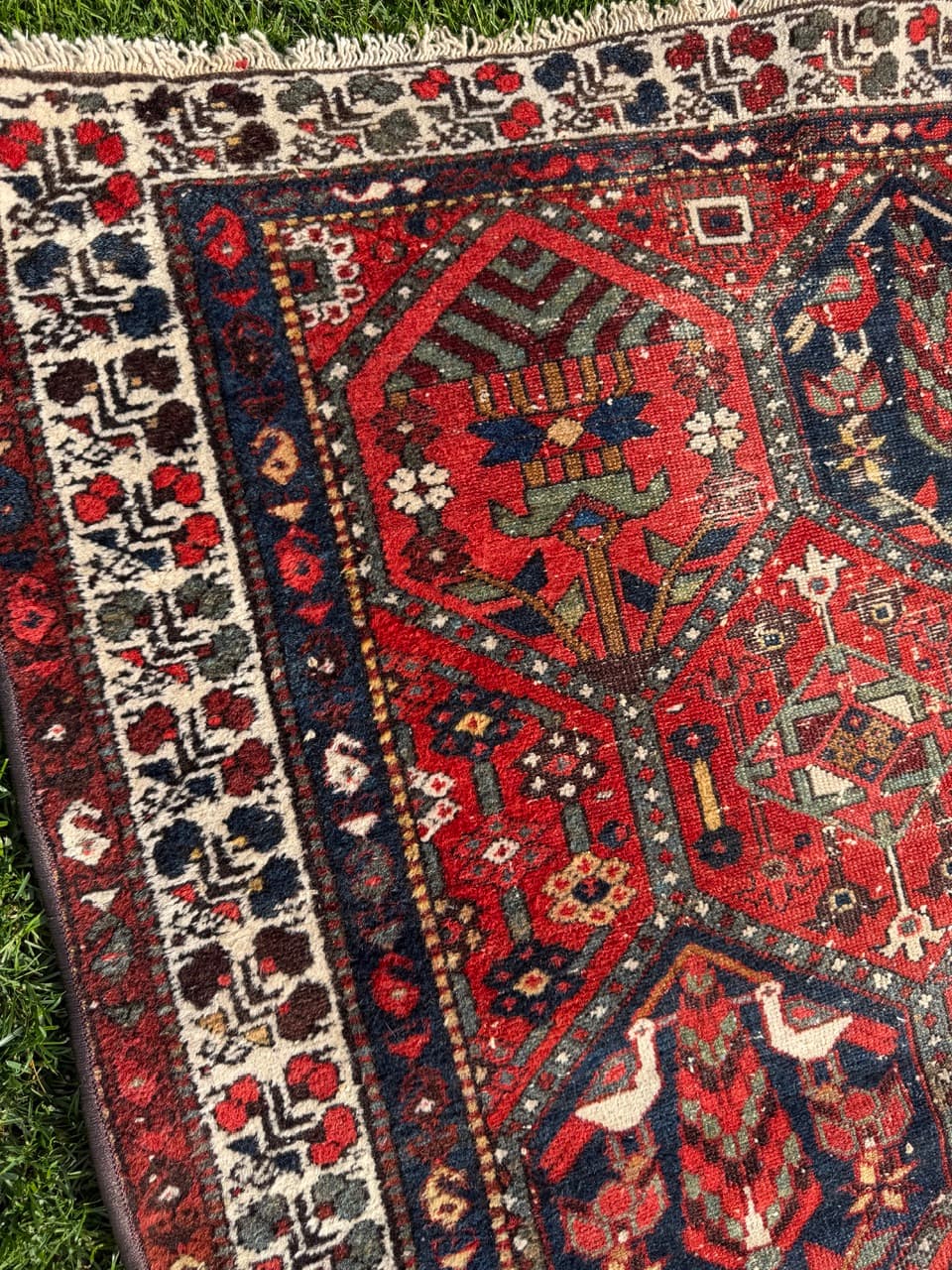 Rug Hamadan Bahtiari 200x131cm, red blue white, wool, Iran, 1930s. - 400924