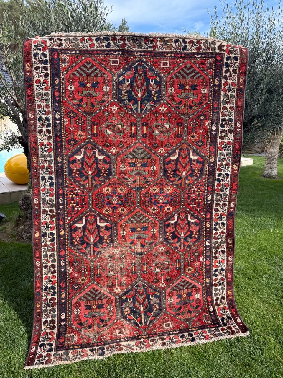 Rug Hamadan Bahtiari 200x131cm, red blue white, wool, Iran, 1930s. - 400925