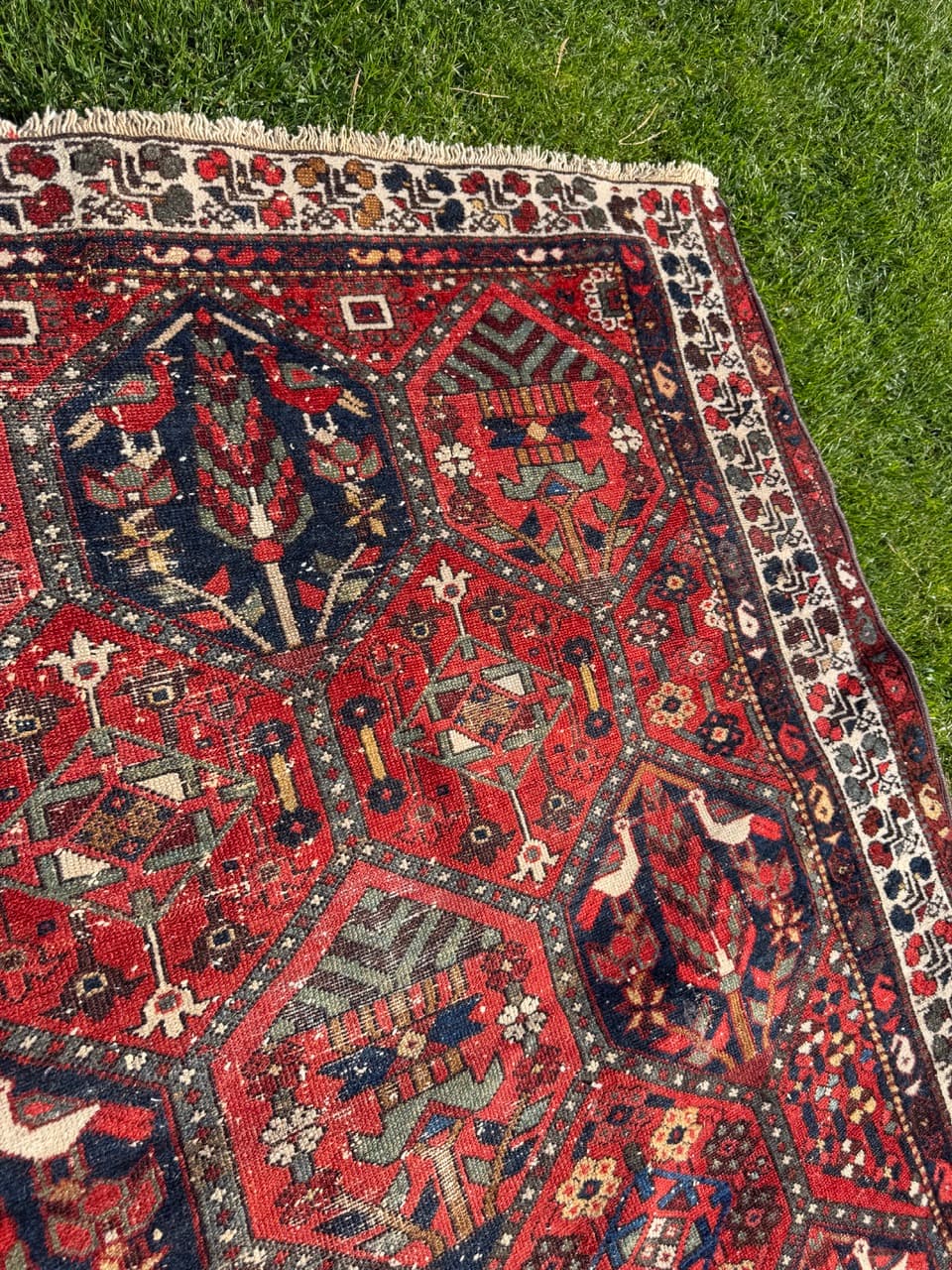 Rug Hamadan Bahtiari 200x131cm, red blue white, wool, Iran, 1930s. - 400917