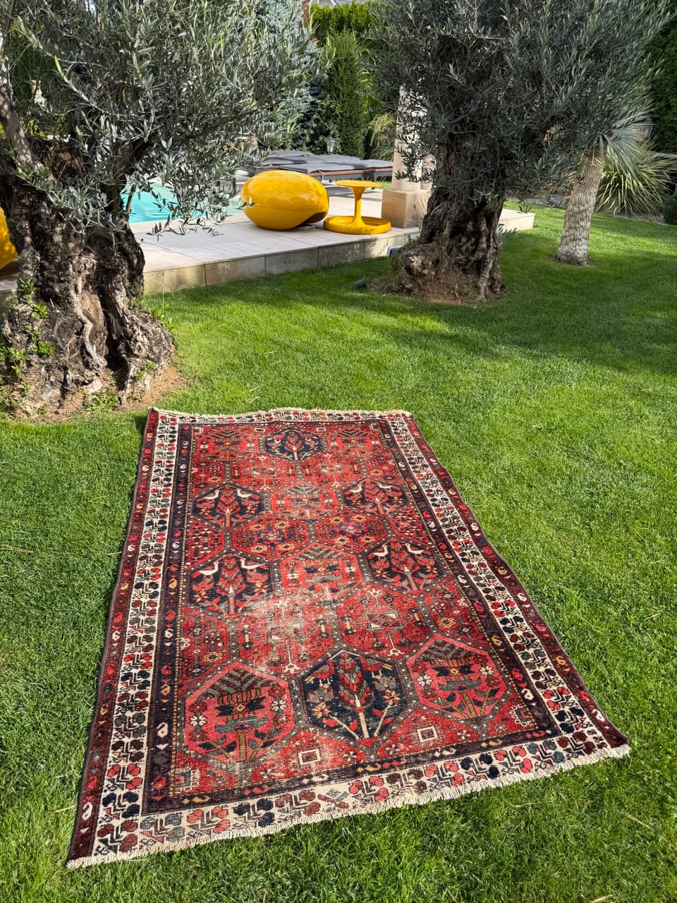 Rug Hamadan Bahtiari 200x131cm, red blue white, wool, Iran, 1930s. - 400914