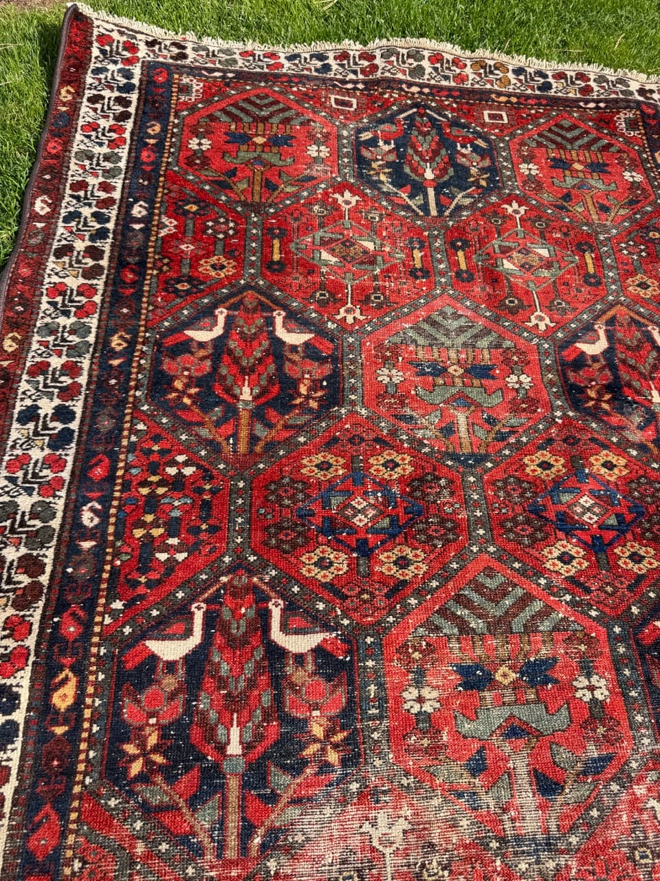 Rug Hamadan Bahtiari 200x131cm, red blue white, wool, Iran, 1930s. - 400927