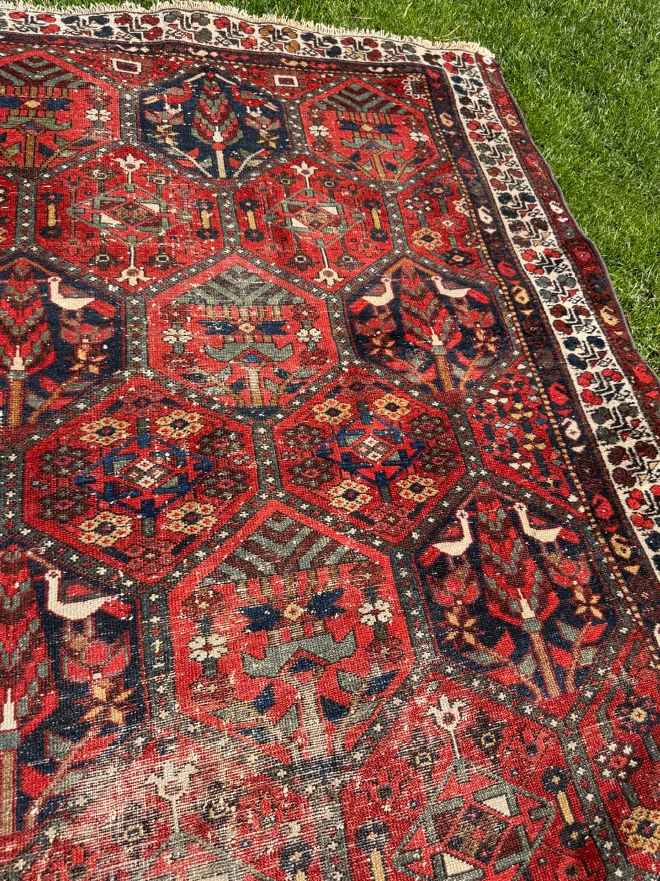 Rug Hamadan Bahtiari 200x131cm, red blue white, wool, Iran, 1930s. - 400922