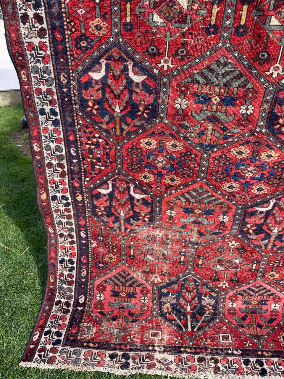 Rug Hamadan Bahtiari 200x131cm, red blue white, wool, Iran, 1930s. - 400920
