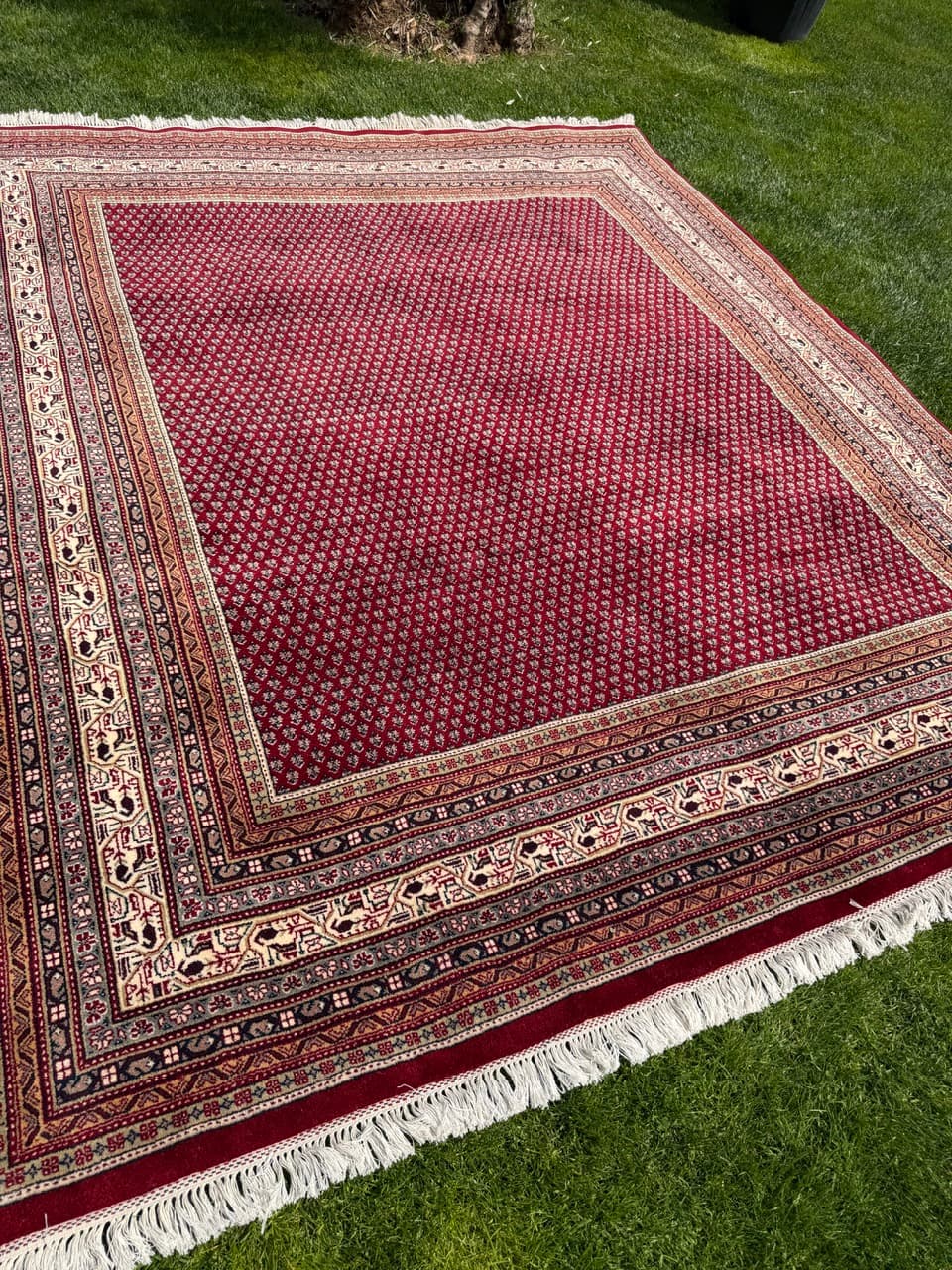 Dywan Indo Mir 300x250 cm, czerwony, wełna, Indie - 400941