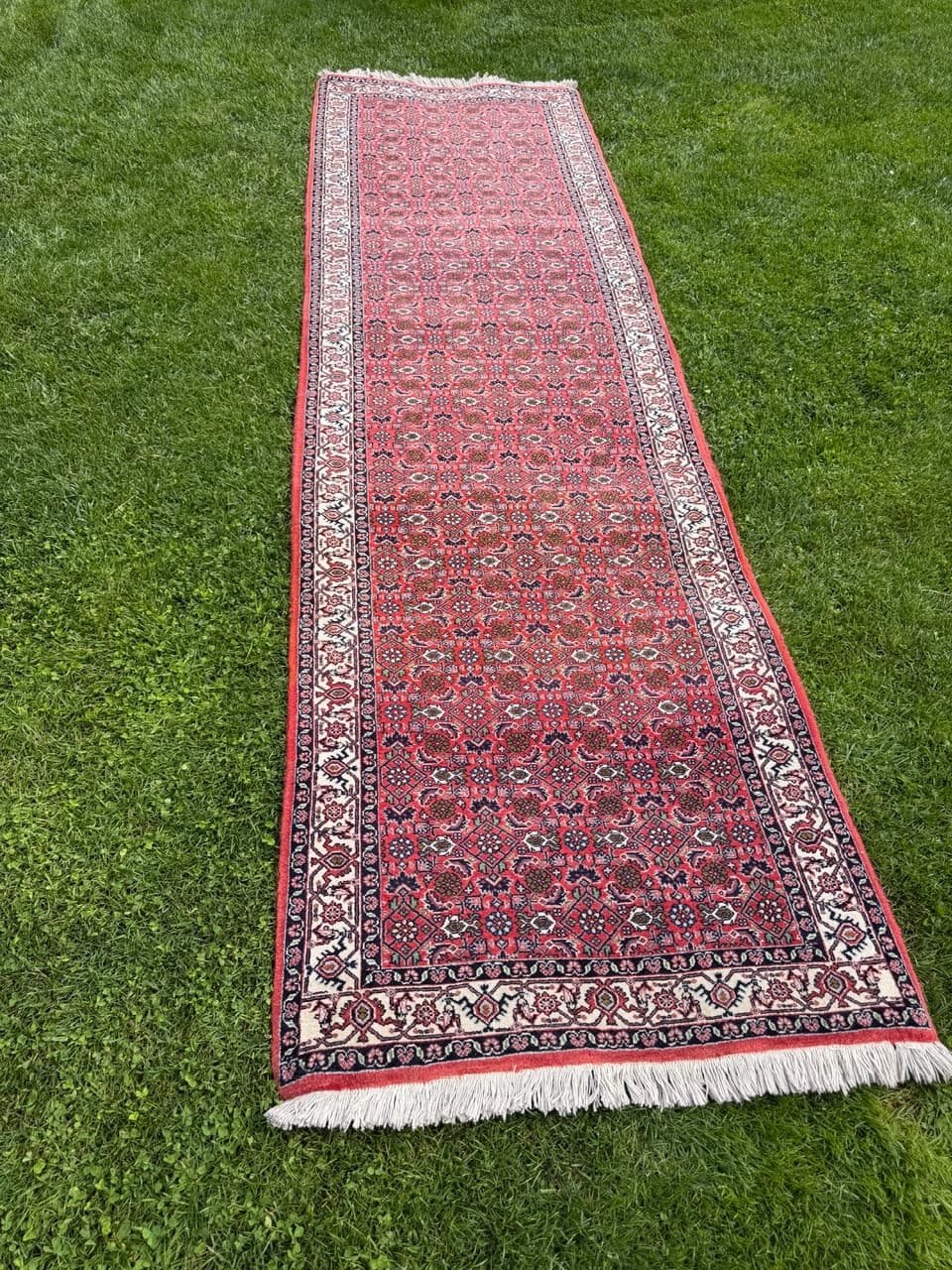 Runner Bidjar 305x85 cm, red blue white beige, Kashmiri wool, Iran - 401407