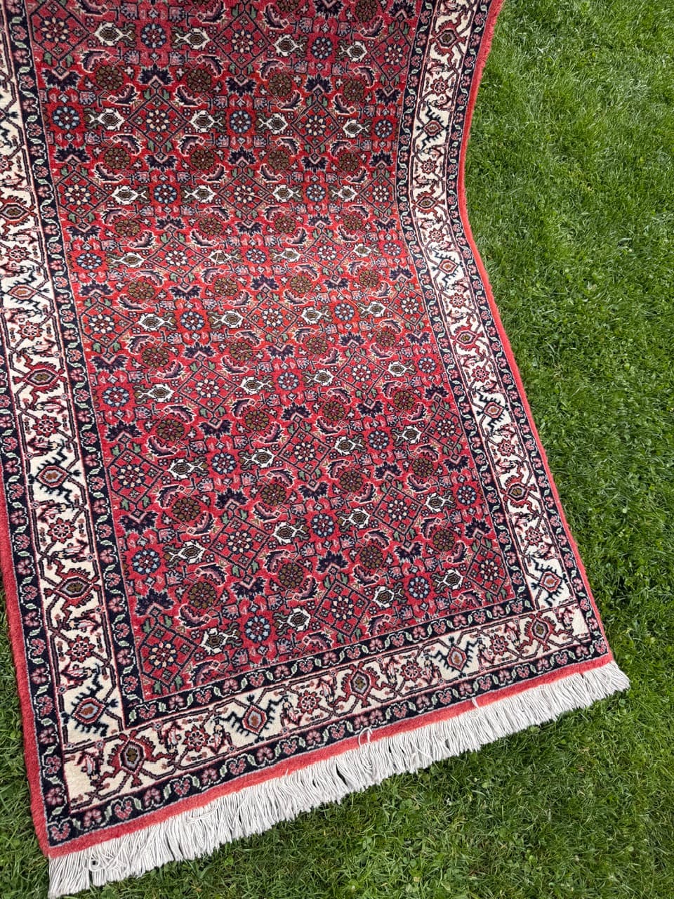 Runner Bidjar 305x85 cm, red blue white beige, Kashmiri wool, Iran - 401402